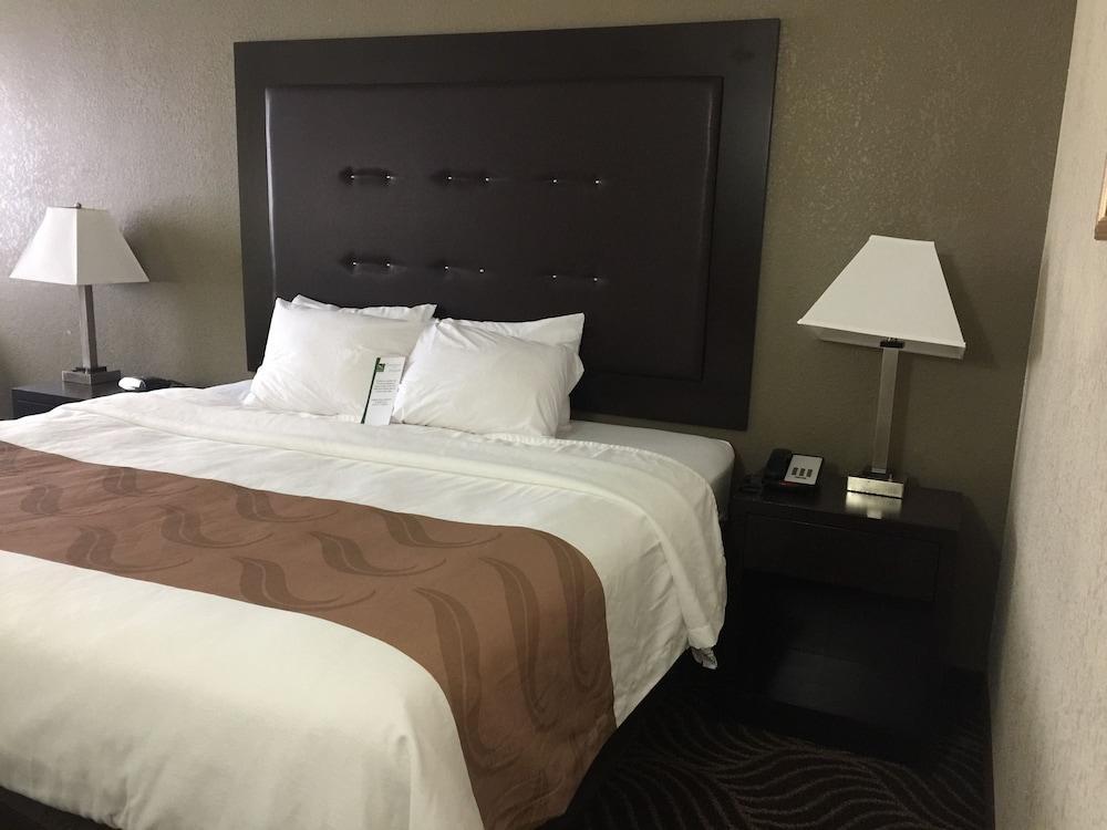 Quality Inn & Suites Florence - Cincinnati South מראה חיצוני תמונה